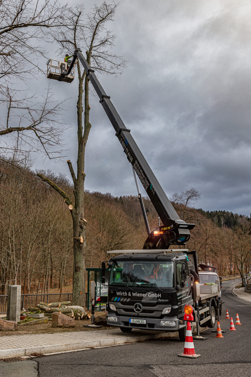 Baumpflege & Baumfällung – Projektbild