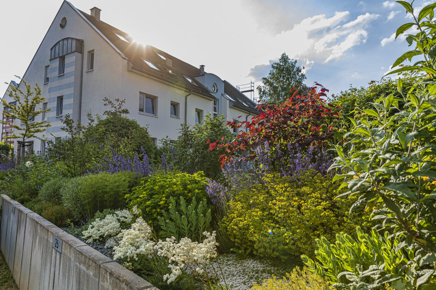 Bepflanzung & Pflanzkonzepte – Projektbild