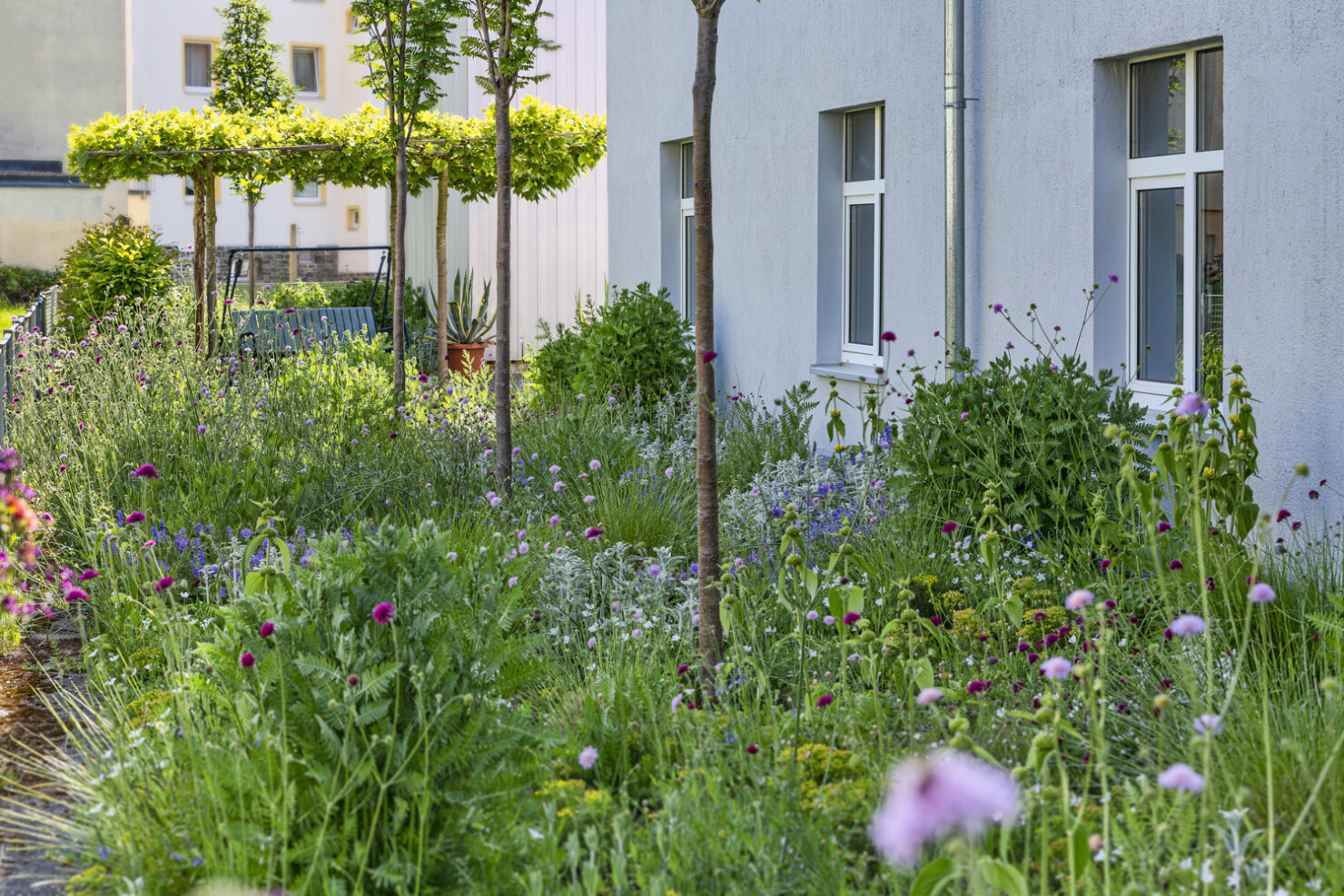 Pflege & Saisonservice – Projektbild