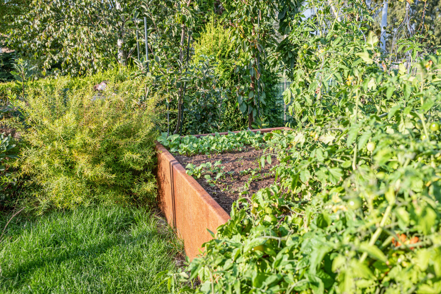 Pflege & Saisonservice – Projektbild