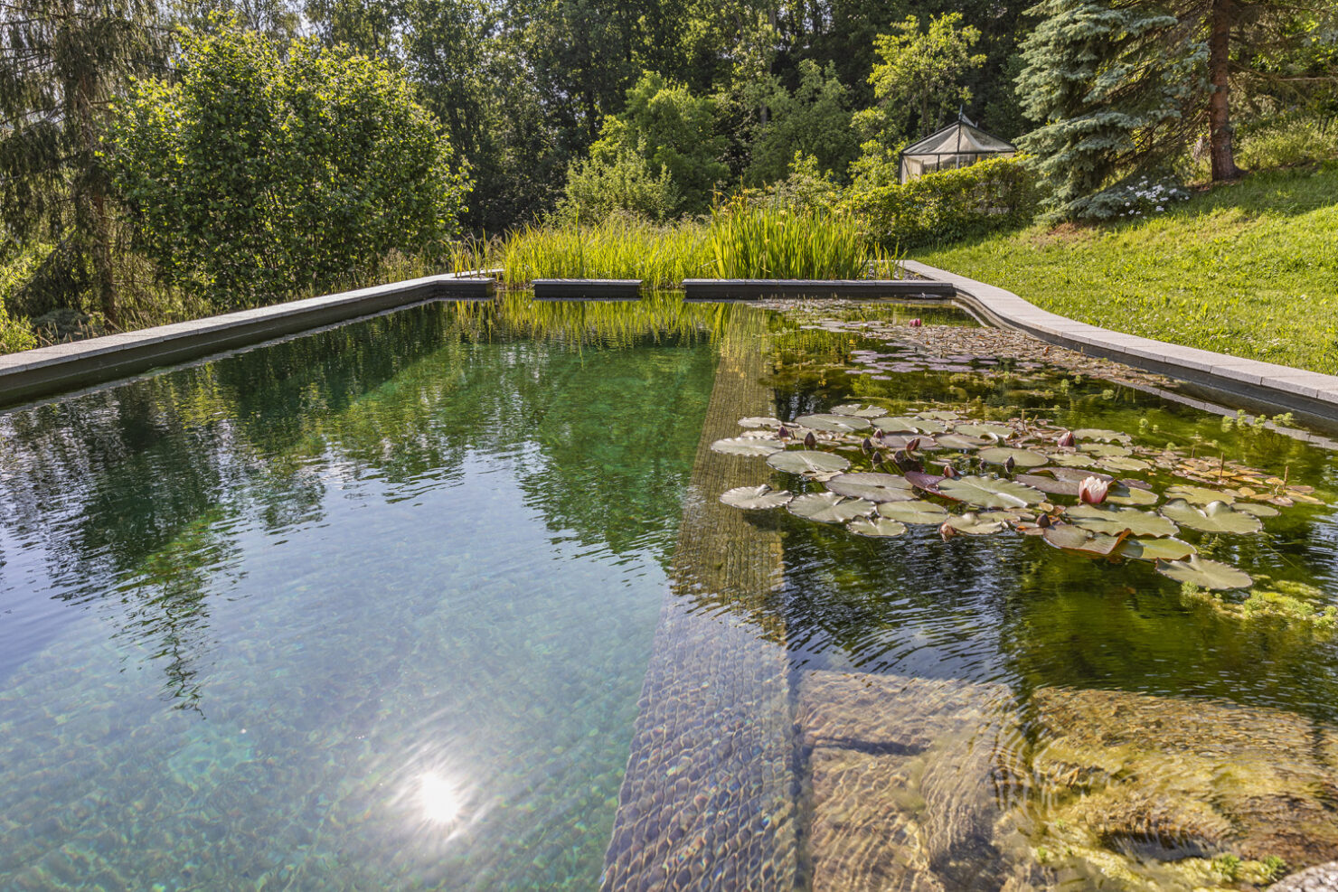 Teich- & Naturpoolbau – Projektbild