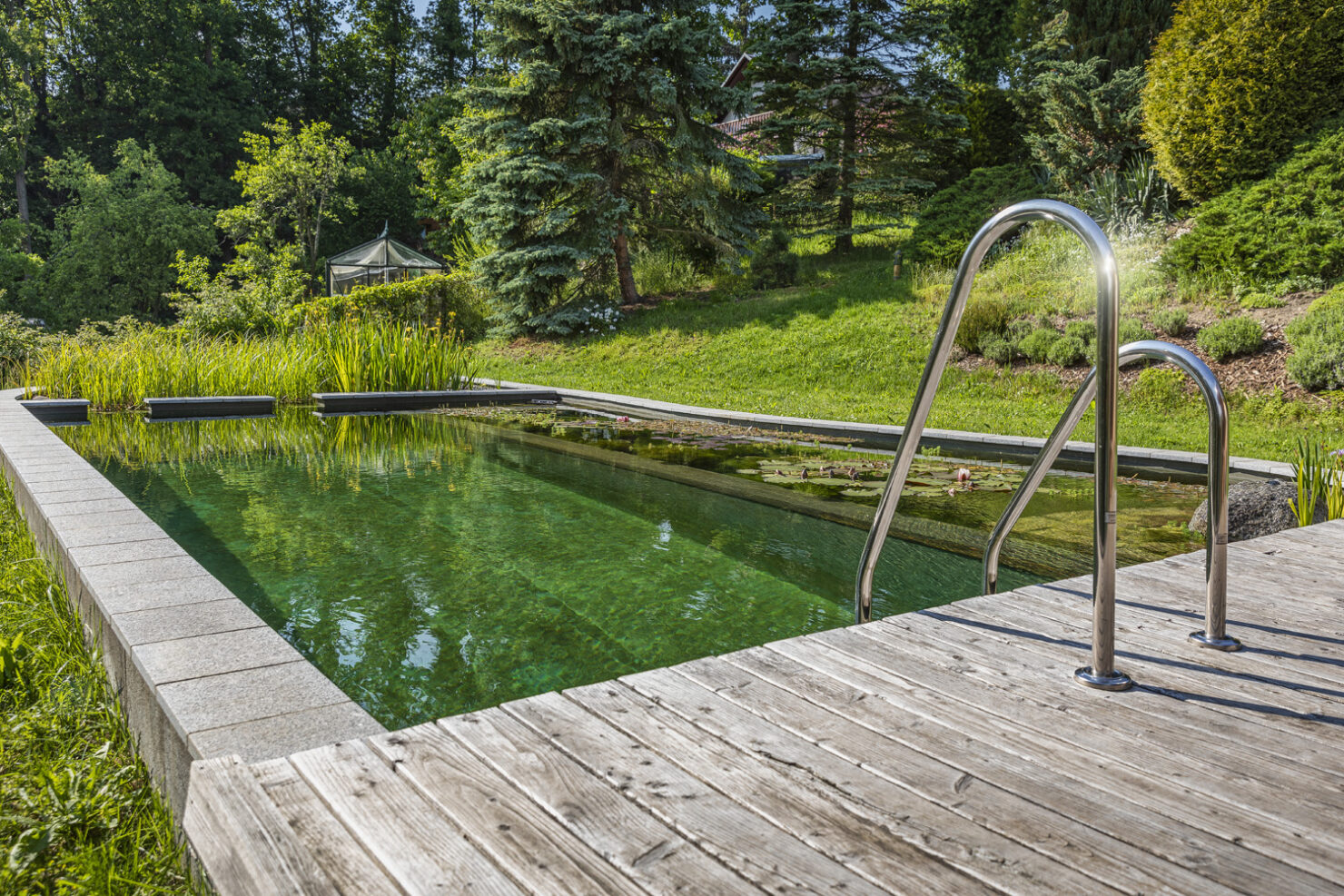 Teich- & Naturpoolbau – Projektbild