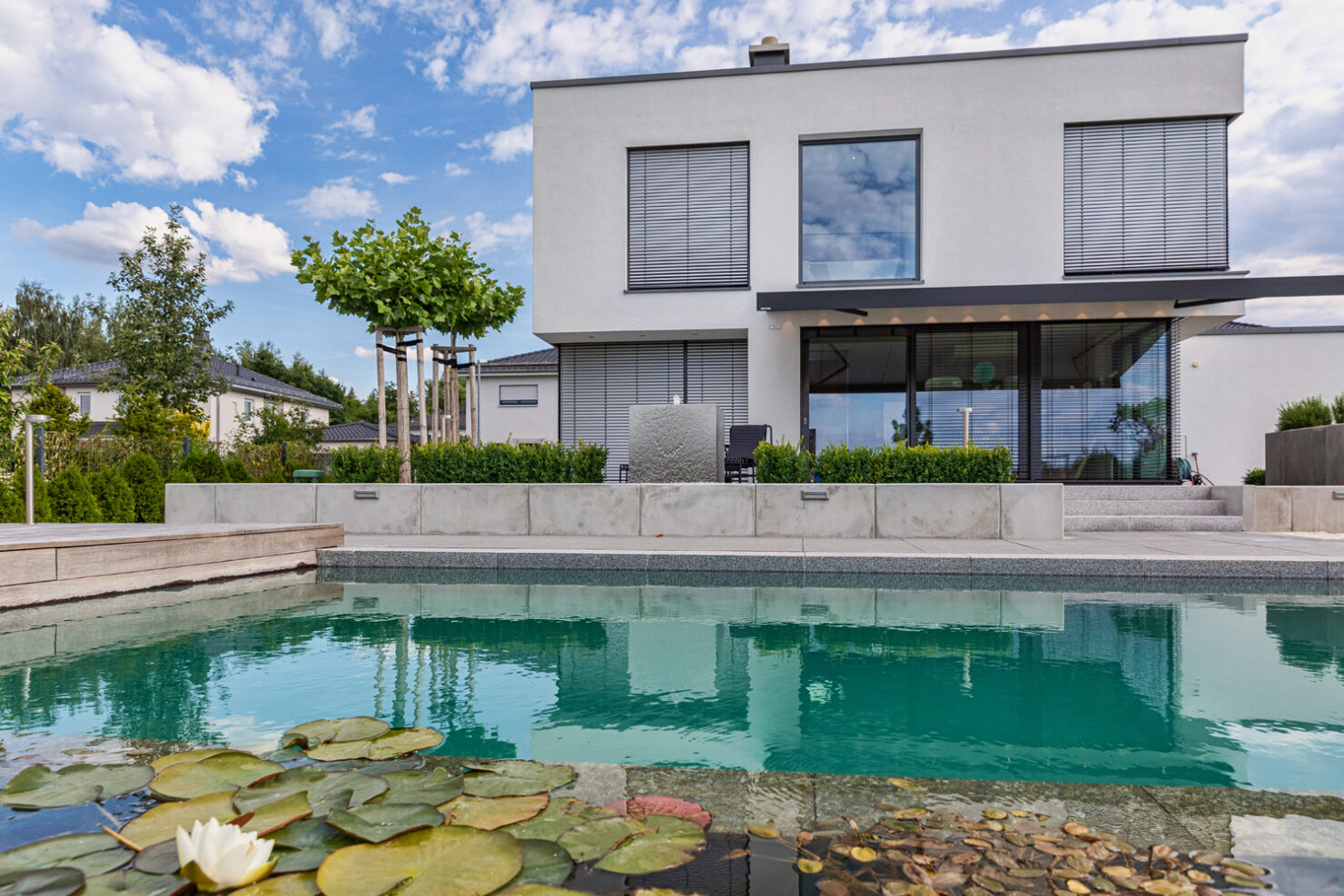 Teich- & Naturpoolbau – Projektbild